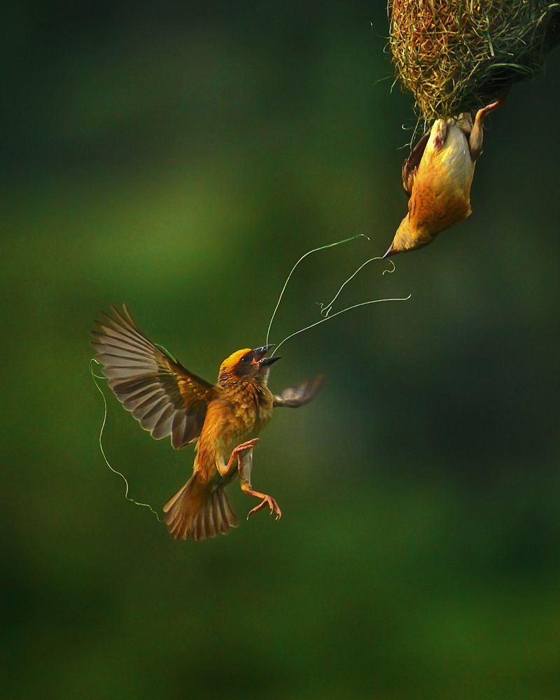 IT IS ALL ABOUT TEAM WORK