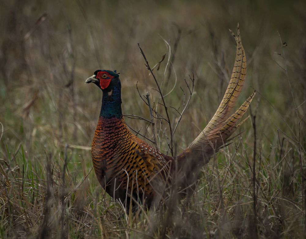 Photograph by Дмитрий Власов