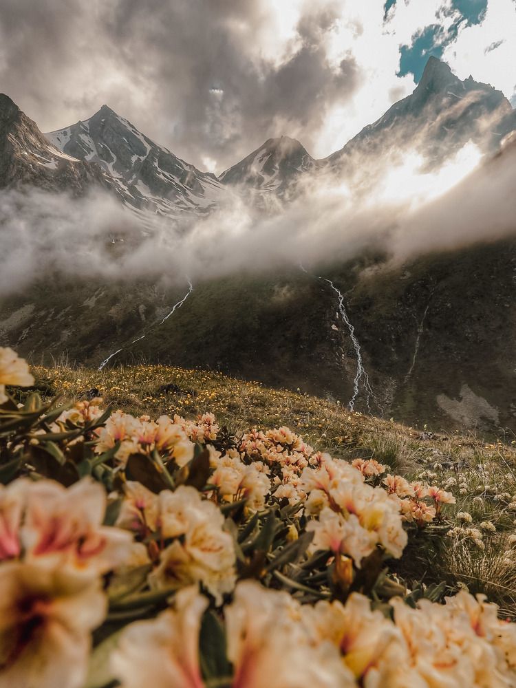 Photograph by Владимир Кульбит