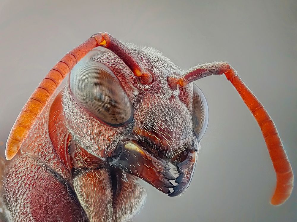 Photograph by Trung Nguyễn