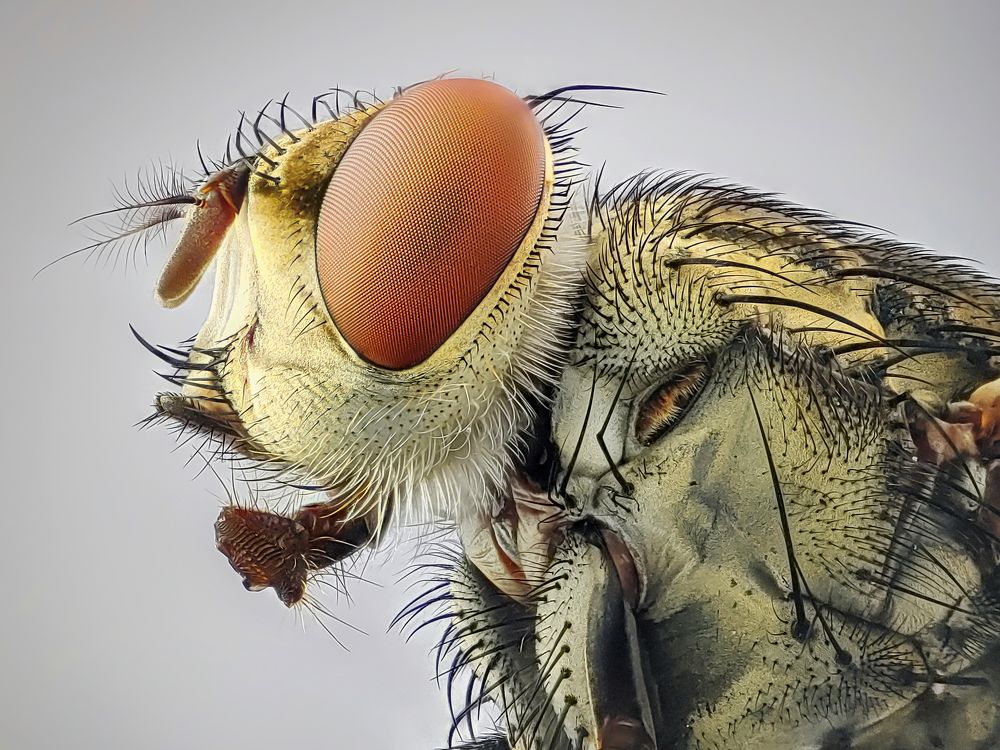 Photograph by Trung Nguyễn