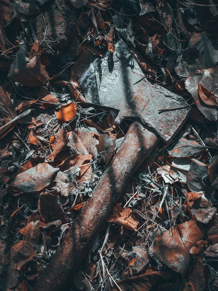 Photograph by Данил Акрамов