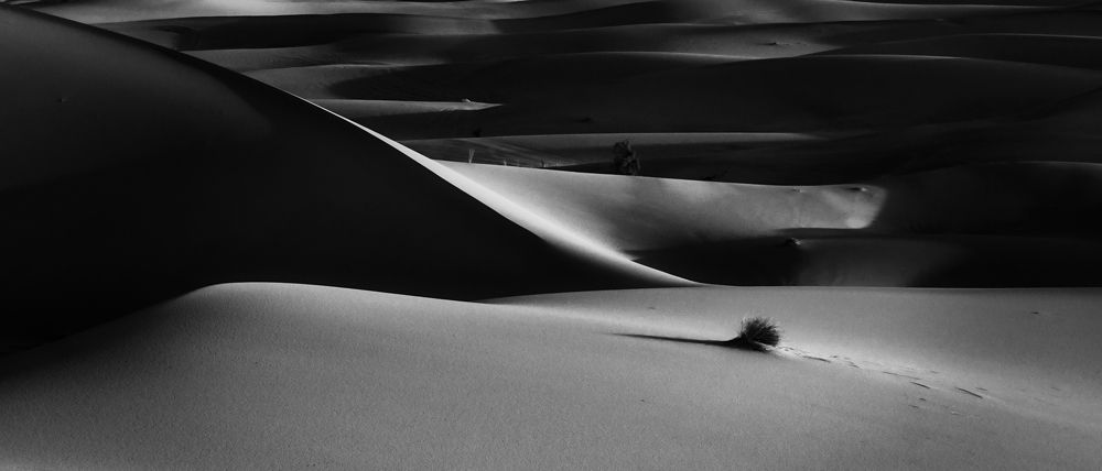 Photograph by Adrian Adi Gli