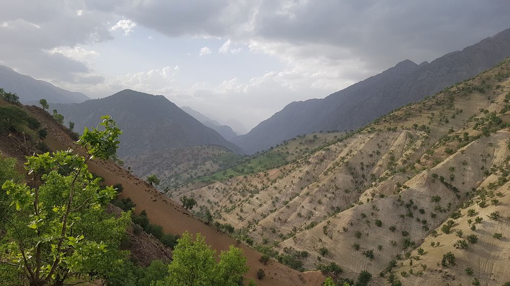 Фотография автора Emamian