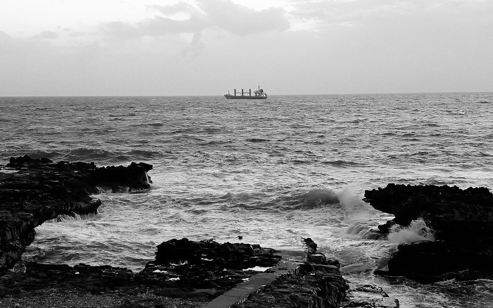 Photograph by Layal Farah