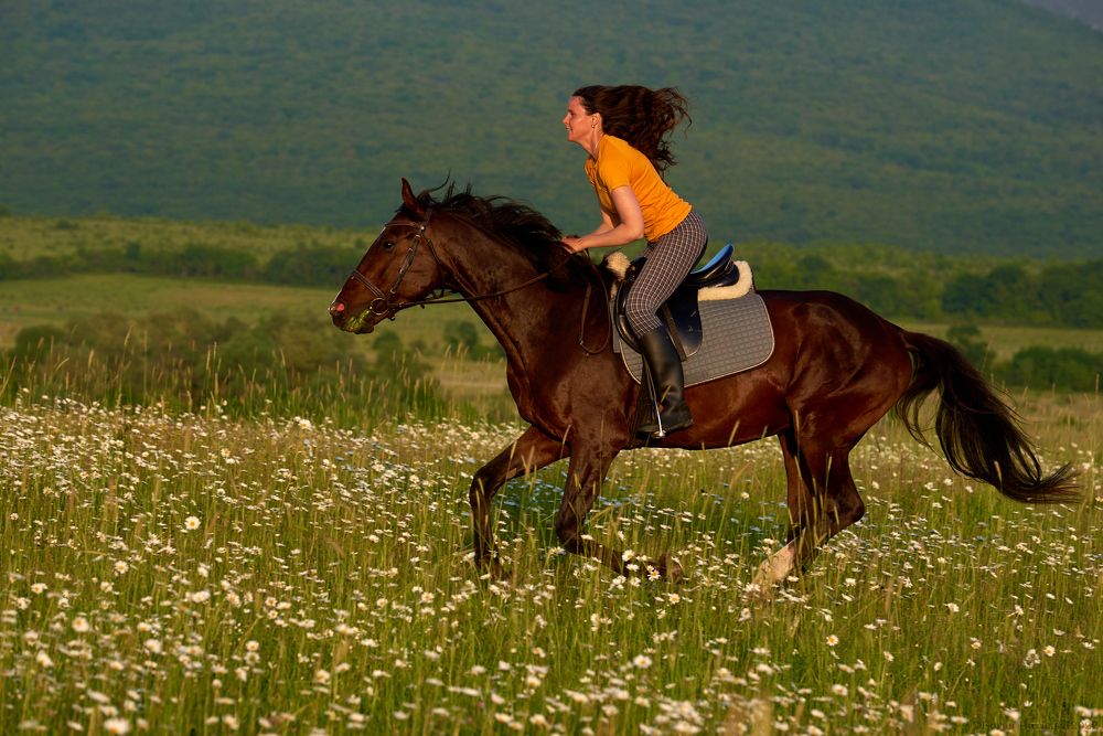 Photograph by Наталья Богач