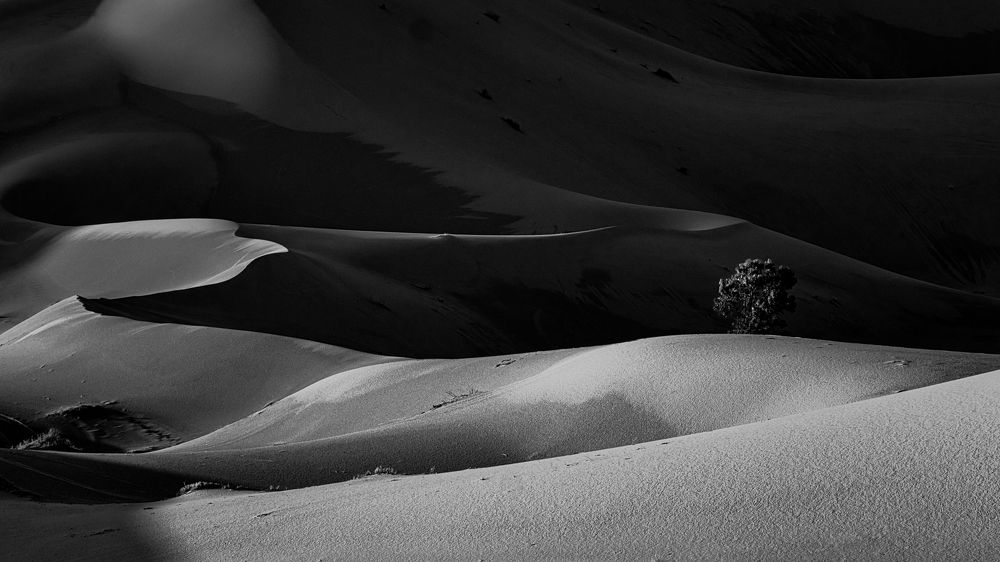 Photograph by Adrian Adi Gli