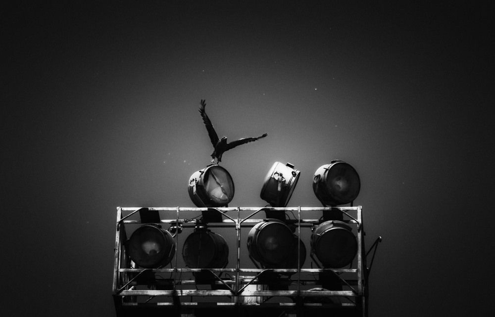 Photograph by Юлия Лушникова