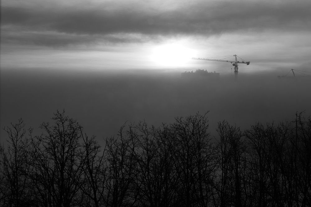 Photograph by Мария Усманова