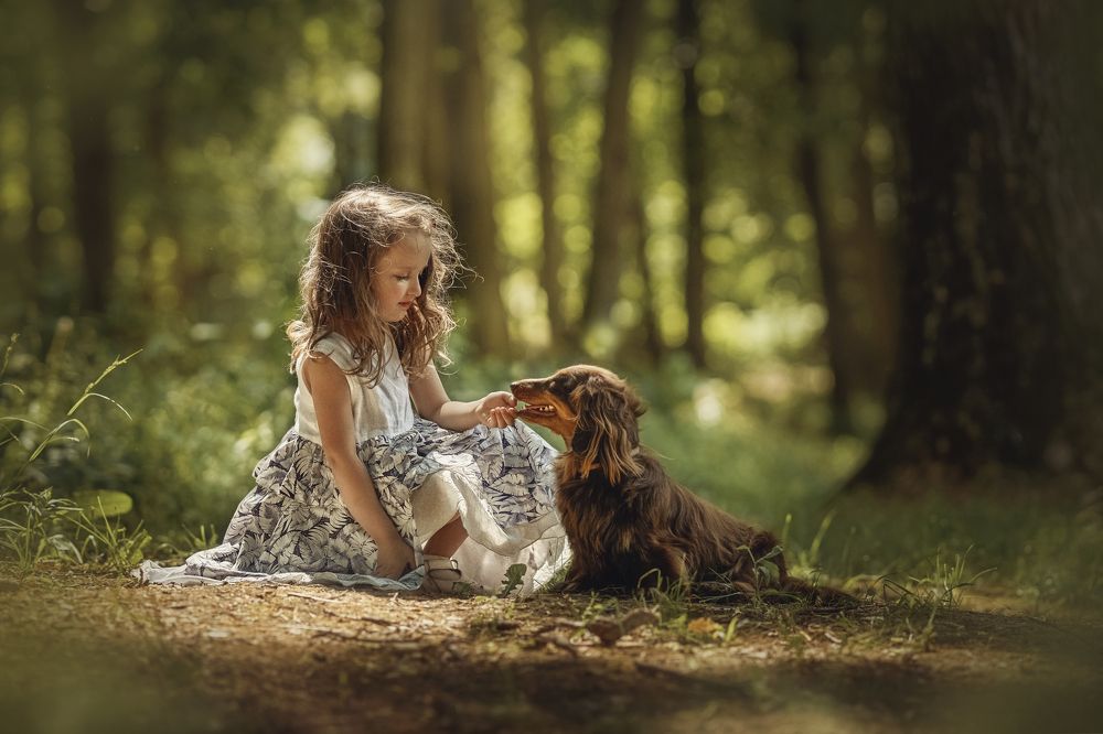 Photograph by Дарья Базарнова