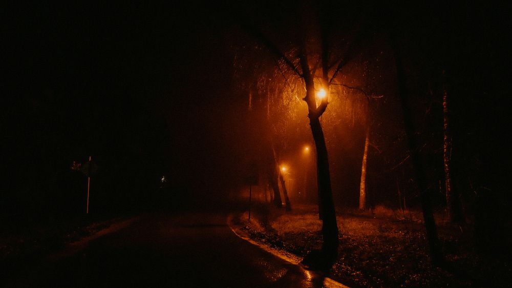 Photograph by Александр Корчагин