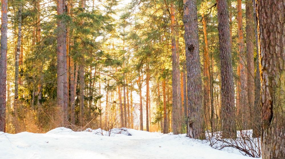 Photograph by Александра Храмцова