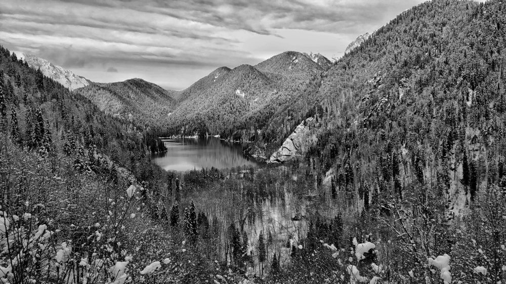 Photograph by Елена Душко