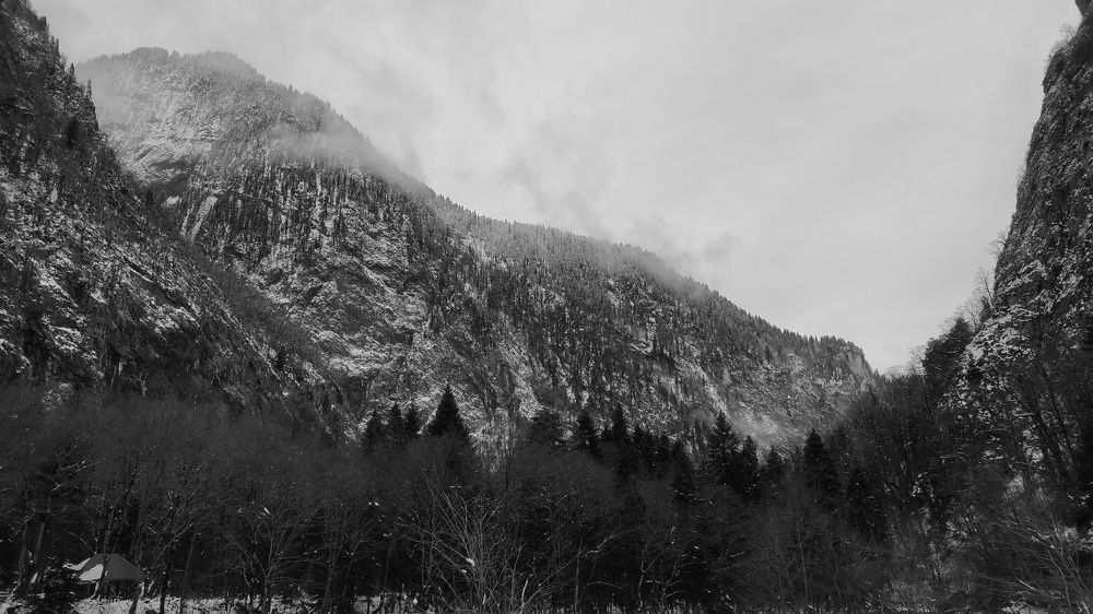 Photograph by Елена Душко