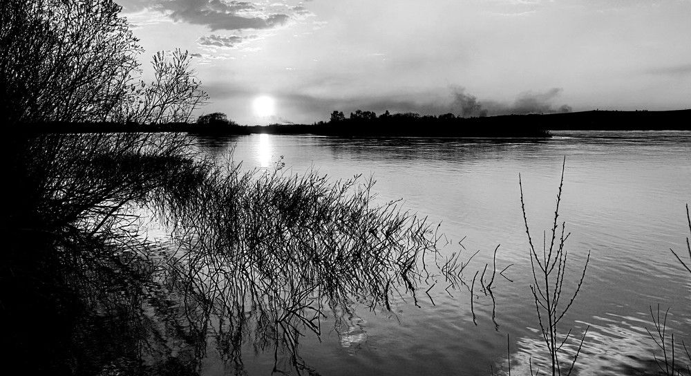 Фотография автора Георгий Петров