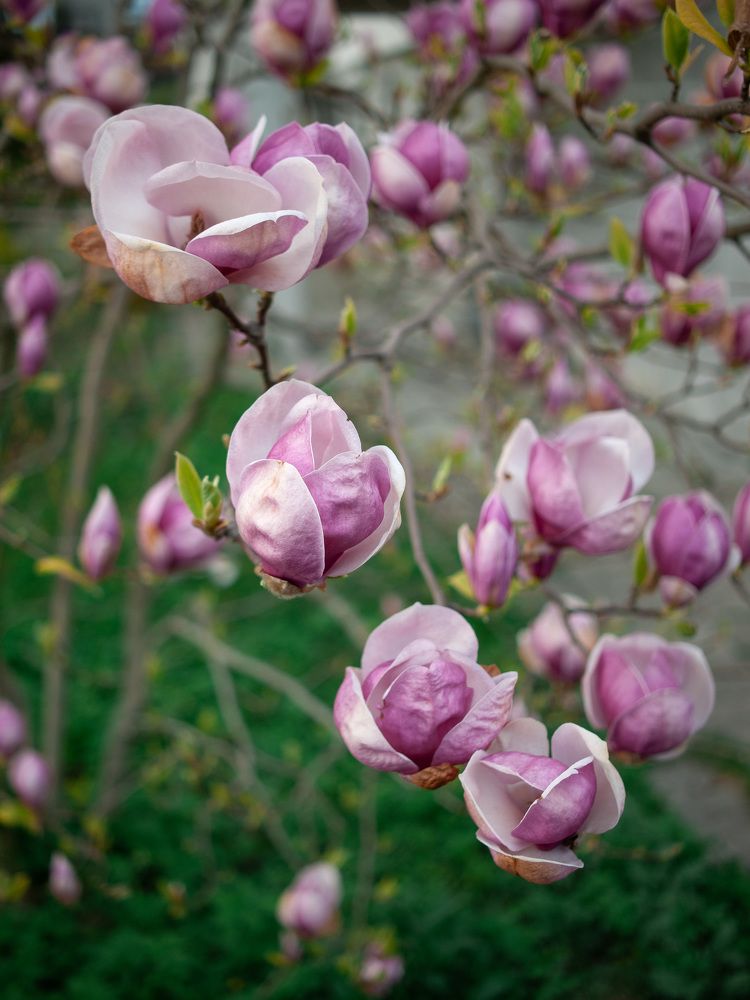 Photograph by Павел Юнусов