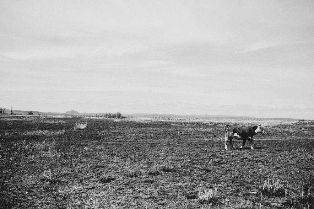 Photograph by Индира Кузнецова