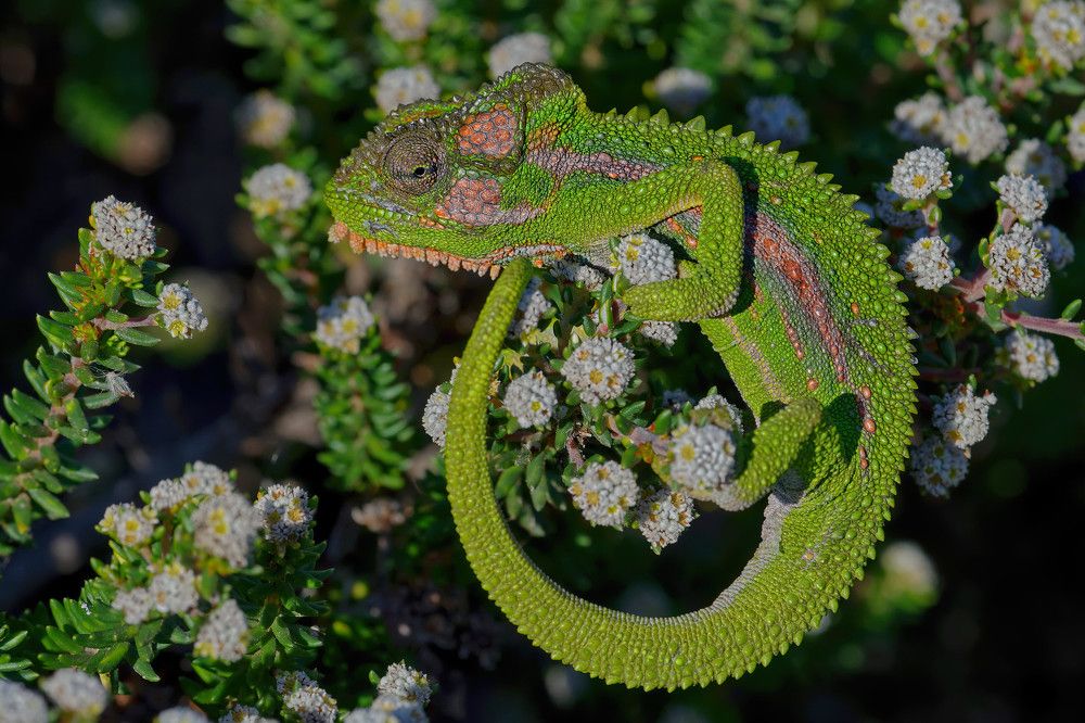 Фотография автора Олег Набровенков