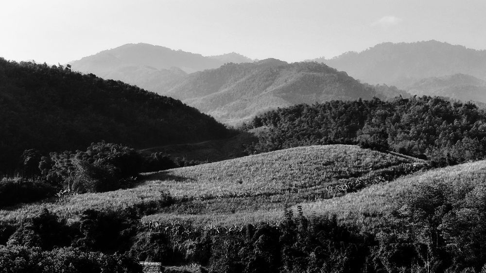 Photograph by Dương Nguyễn