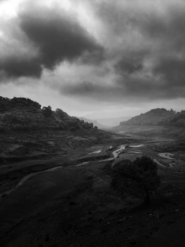 Photograph by Yogesh M. Yadav