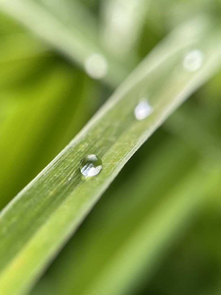 Photograph by Олег Терешкин