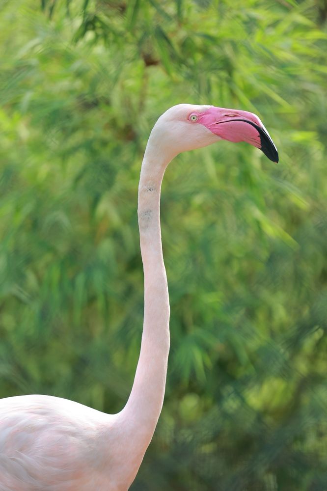 Photograph by Harsh Keppetipola