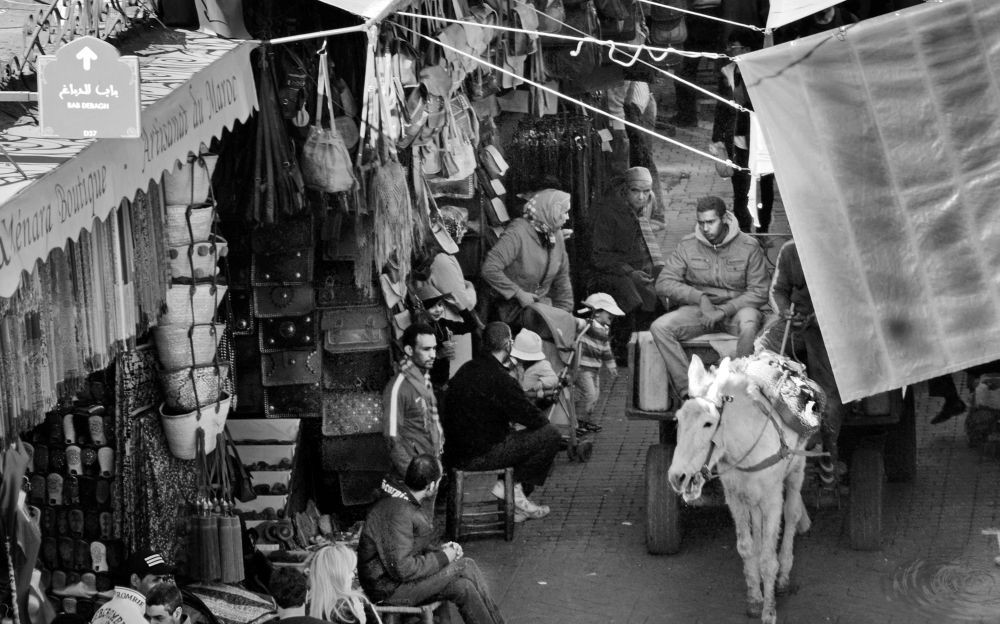 Photograph by Sill Scaroni