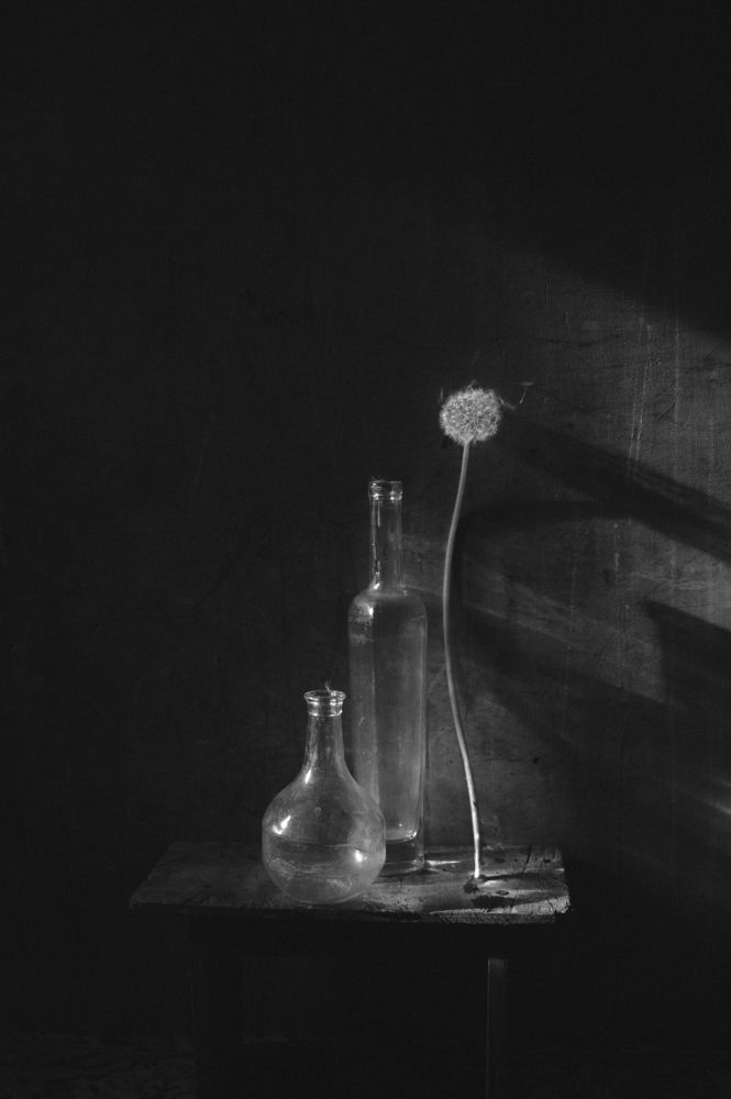 Фотография автора Елена Хазина