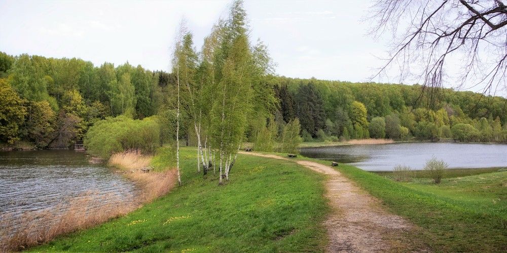 Photograph by Елена Никитина