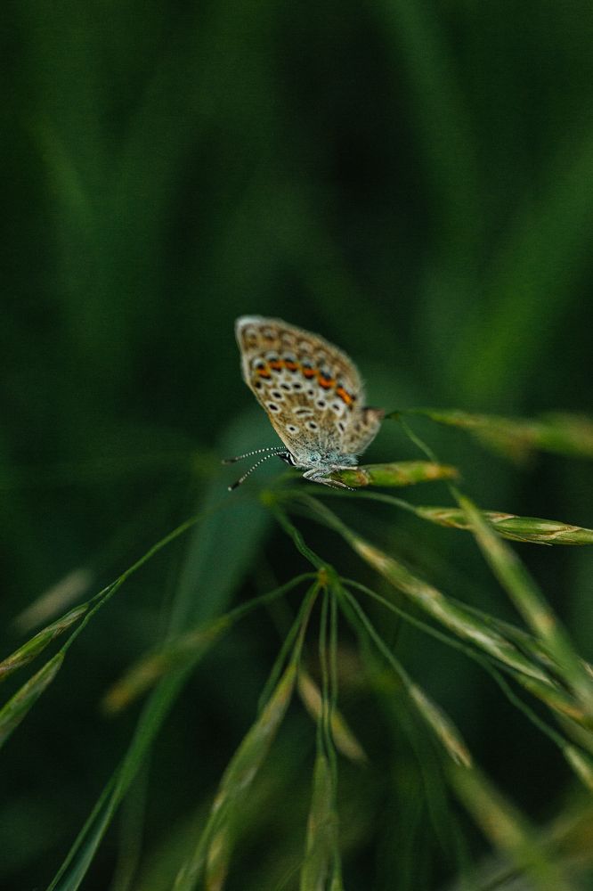 Photograph by Маргарита Бредихина