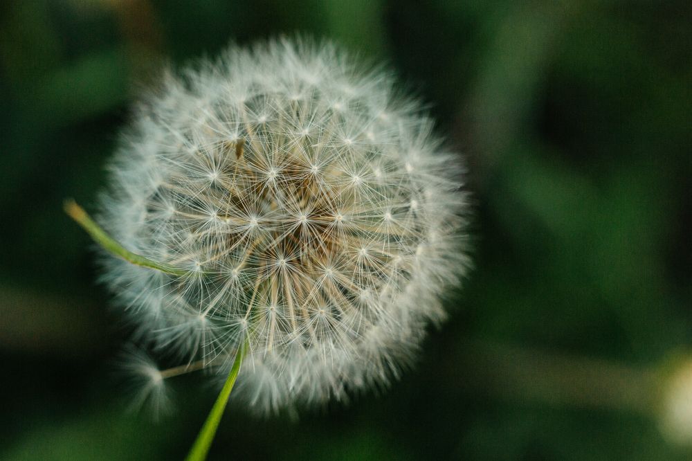 Photograph by Маргарита Бредихина