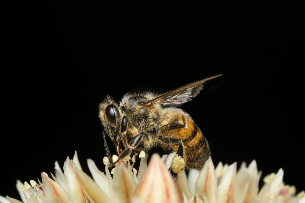Фотография автора Jorge Gil Rodríguez
