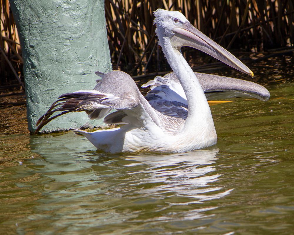Photograph by Сергей Маркелов