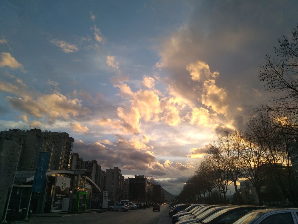 Photo #7717855