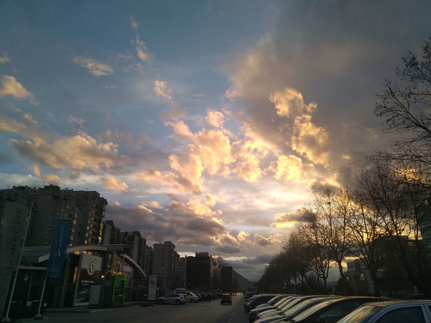 Photo #7717855