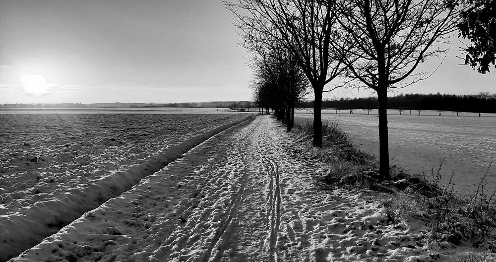 Photograph by Arkadij Frejdlin