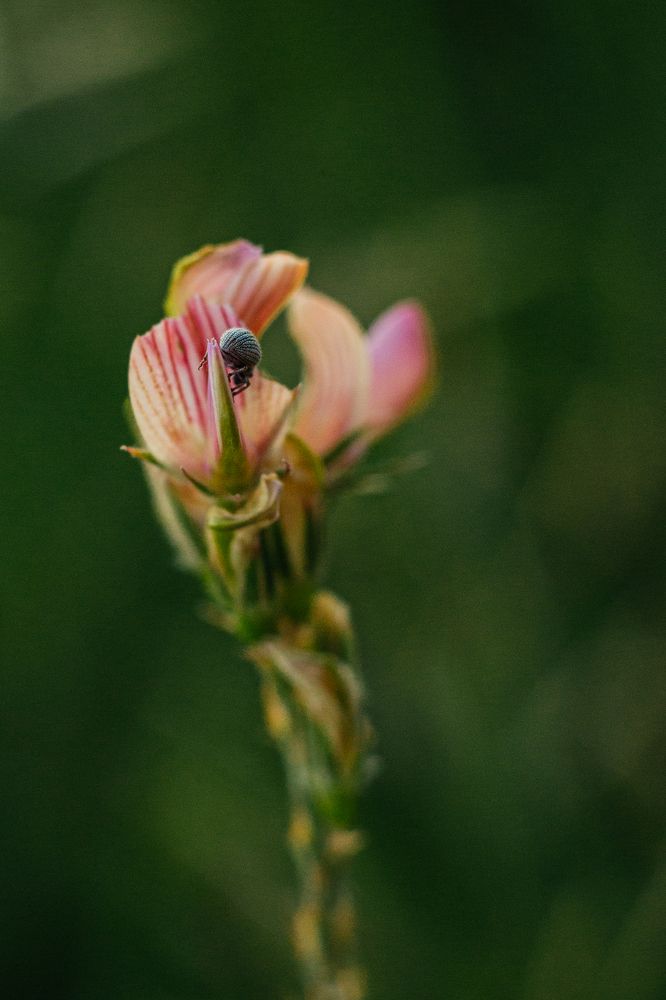 Photograph by Маргарита Бредихина