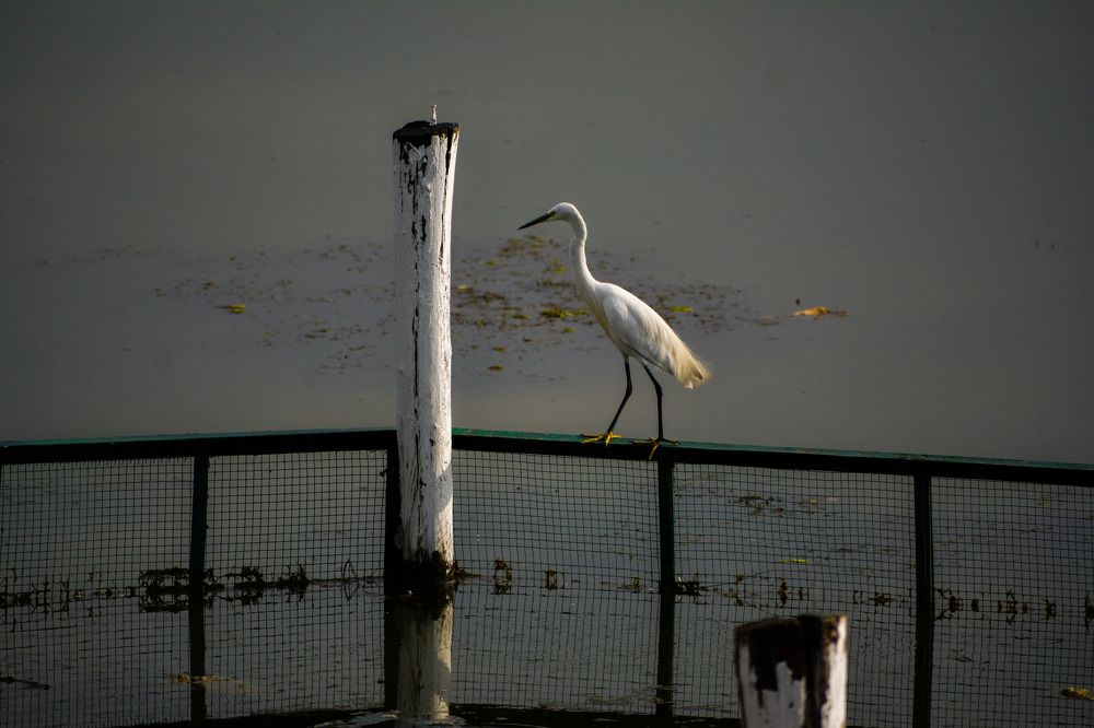 Photograph by Imtiyaz