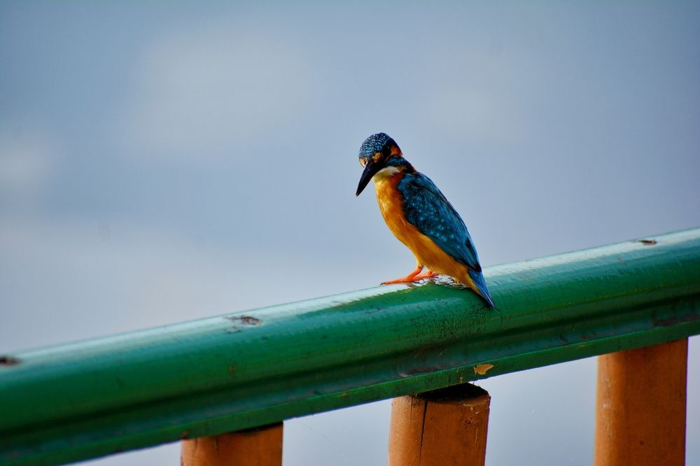 Photograph by Imtiyaz