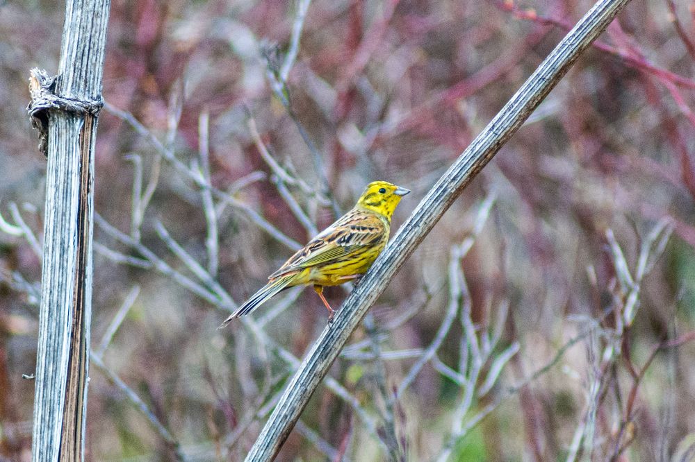 Photograph by Денис Кичев