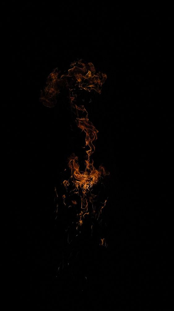 Photo #7718037