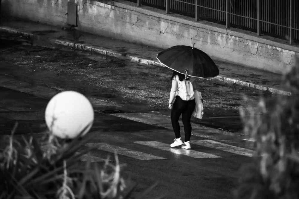 Photograph by Teresa Molinaro