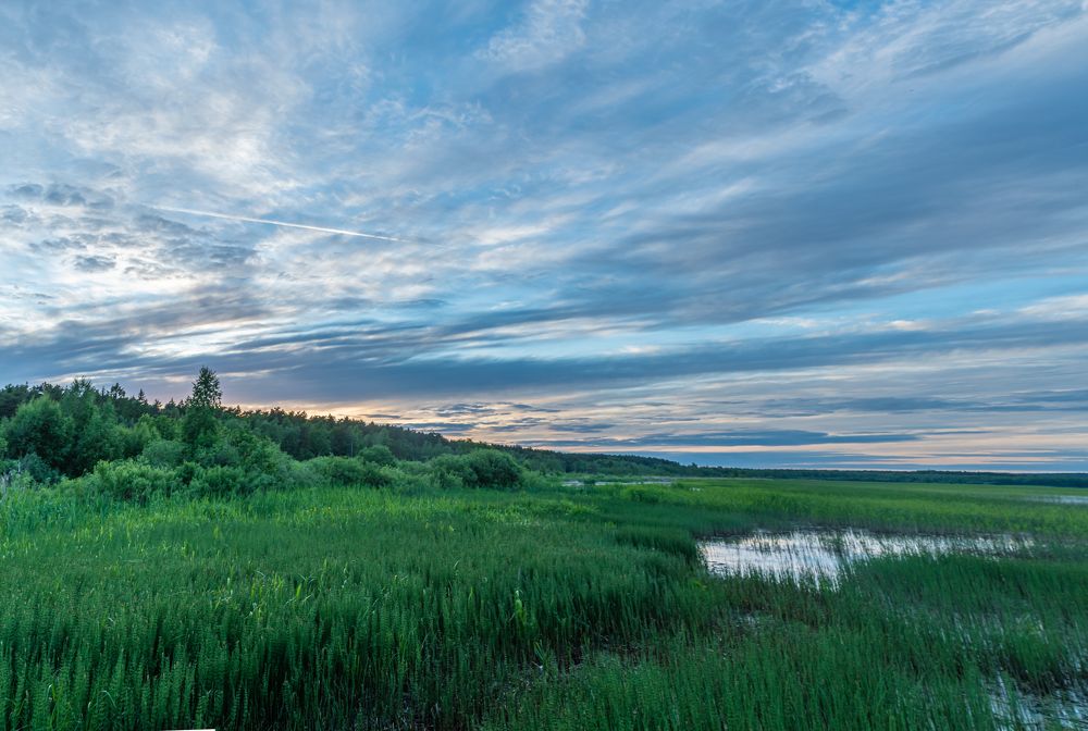 Photograph by С Павел