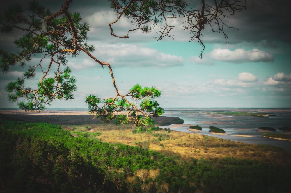 Photograph by Александр Раков