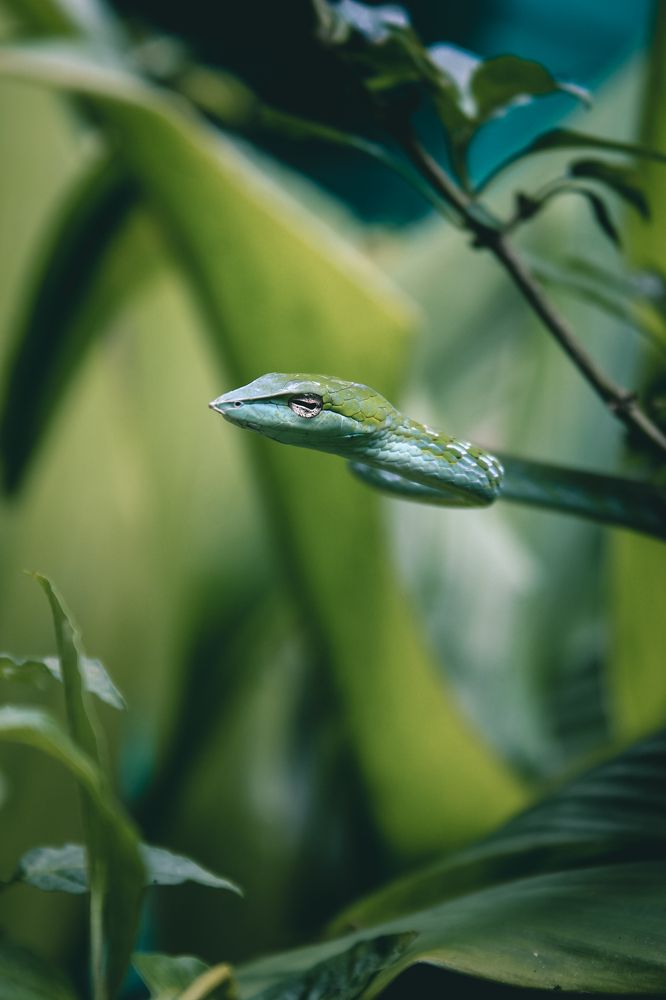 Photograph by Anjali K R
