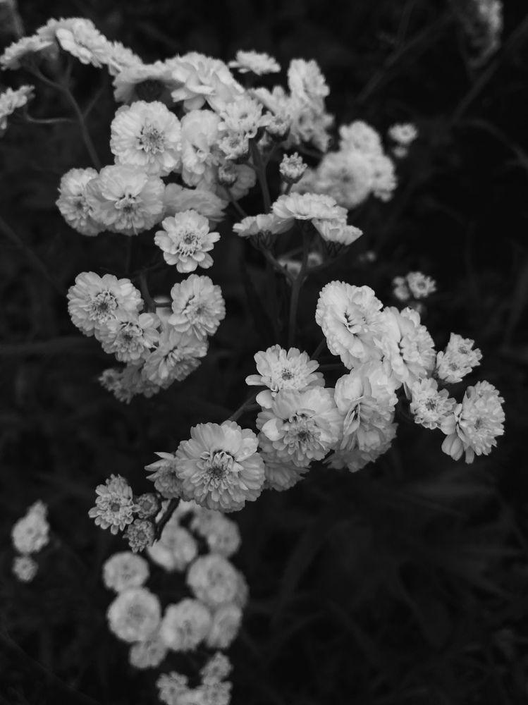 Photograph by Юлия Литвинова