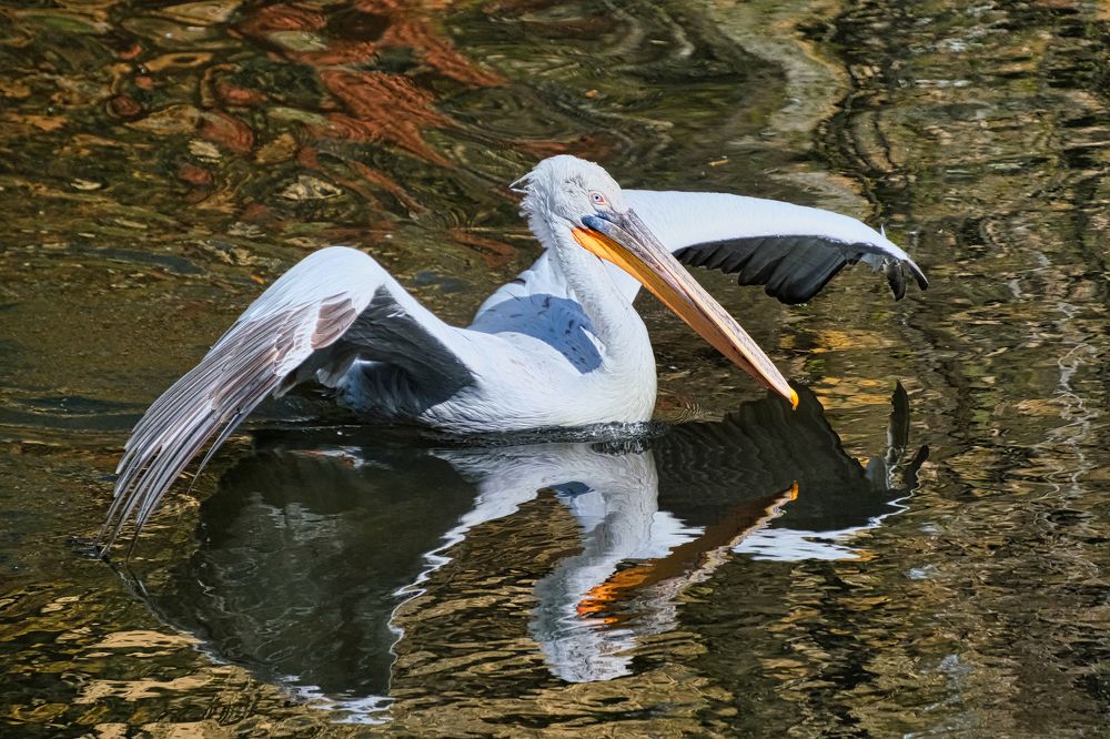 Photograph by ИЛЬДАР БАЛЕЕВ