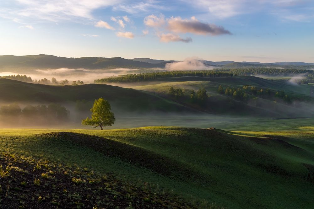 Photograph by Леонид Максименко