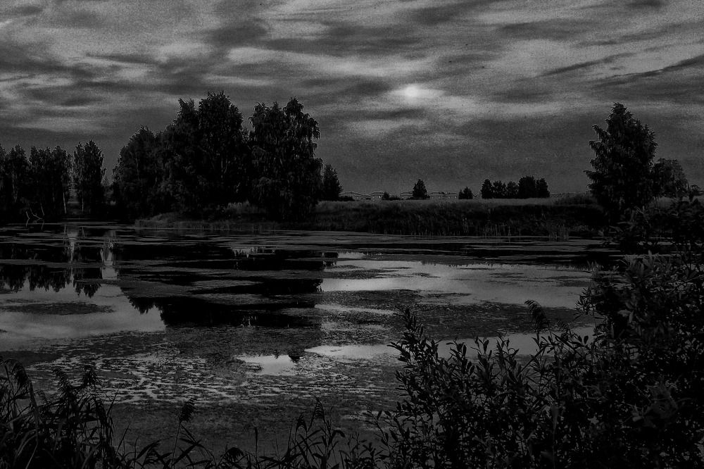 Photograph by Моложников Юрий