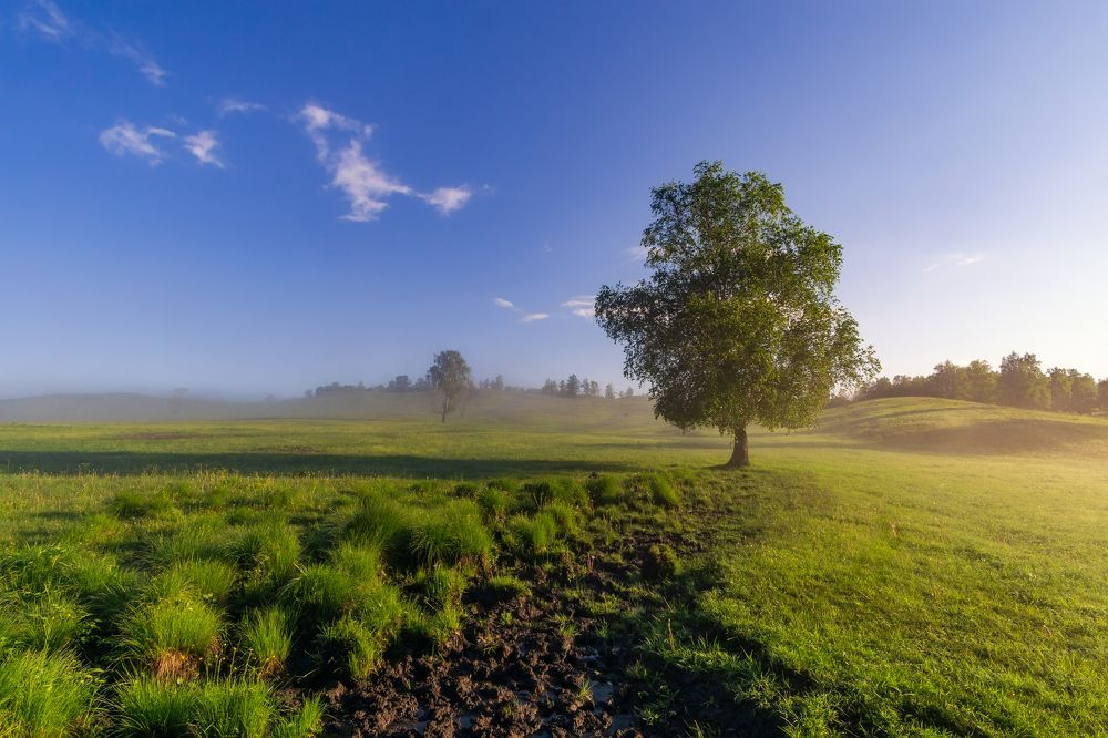 Photograph by Леонид Максименко